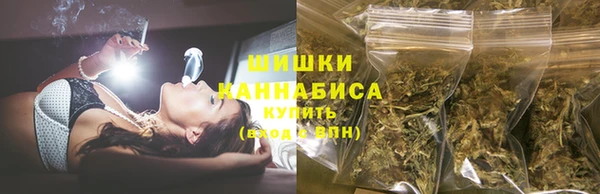 индика Грязи