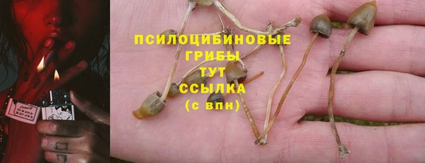 MDMA Premium VHQ Приозерск