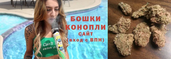 индика Грязи